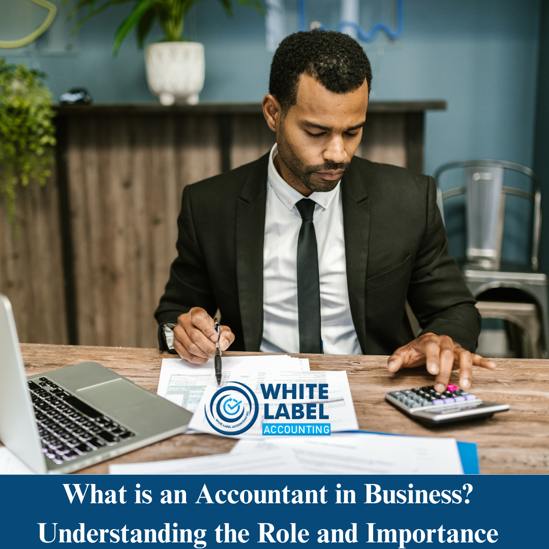 What is an Accountant in Business? Understanding the Role and Importance
