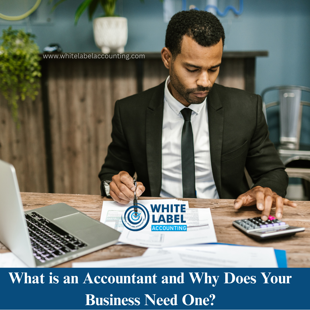 What is an Accountant and Why Does Your Business Need One?