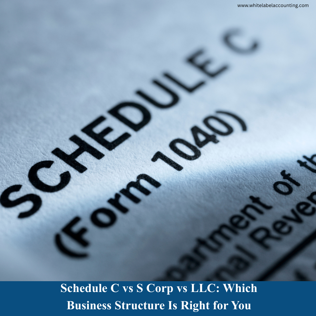 Schedule C vs S Corp vs LLC: Which Business Structure Is Right for You