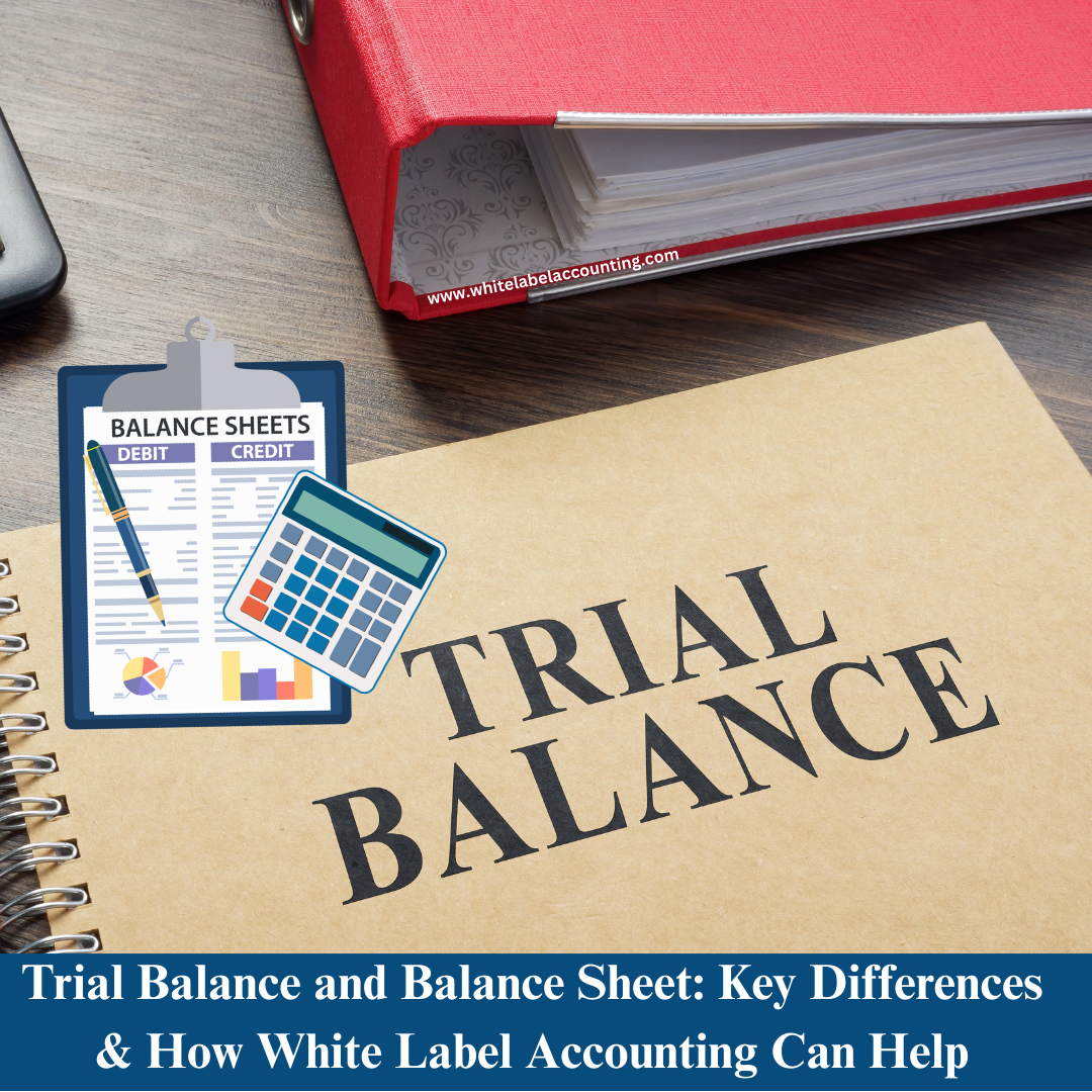 Trial Balance and Balance Sheet: Key Differences & How White Label Accounting Can Help