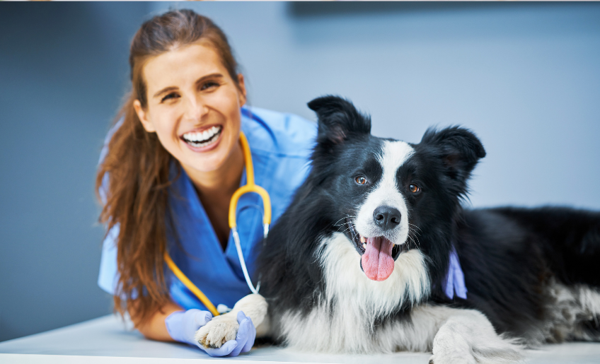 Veterinary Clinics